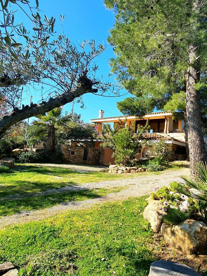 Villa Alice Apartments Orosei Exteriér fotografie