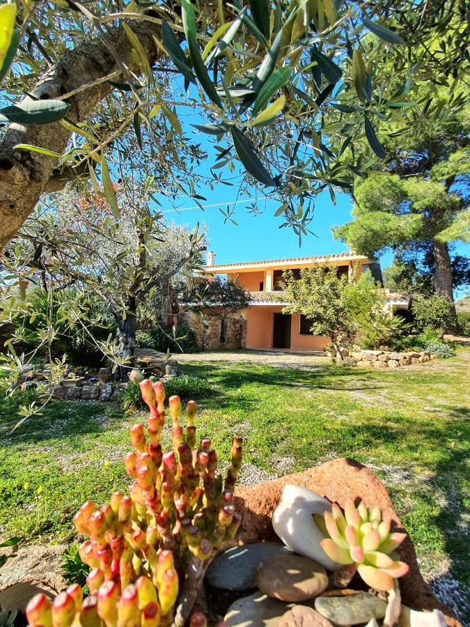 Villa Alice Apartments Orosei Exteriér fotografie